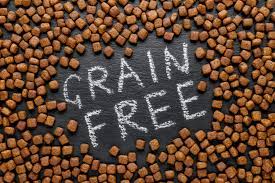 Grain Free Diet Risks