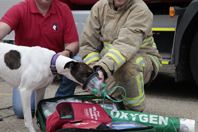 Fire Safety and Pets