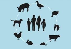 Zoonosis - What is it? 
