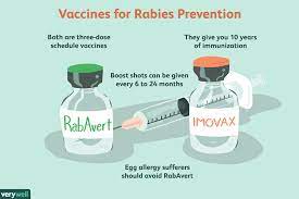 Rabies still a threat - Be Vigilant in Prevention