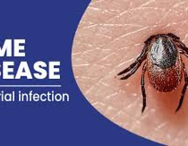 Lyme Disease Threat is Here