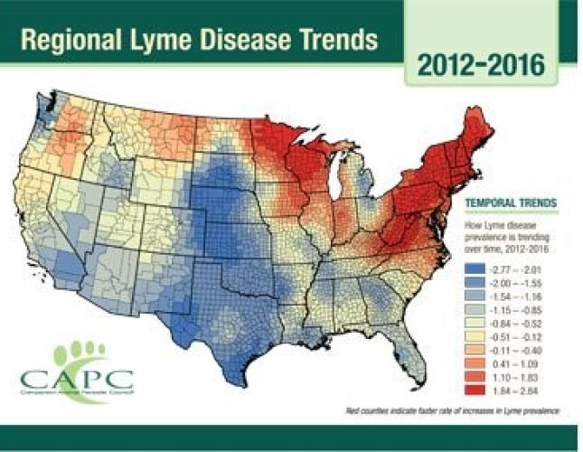 Lyme Disease