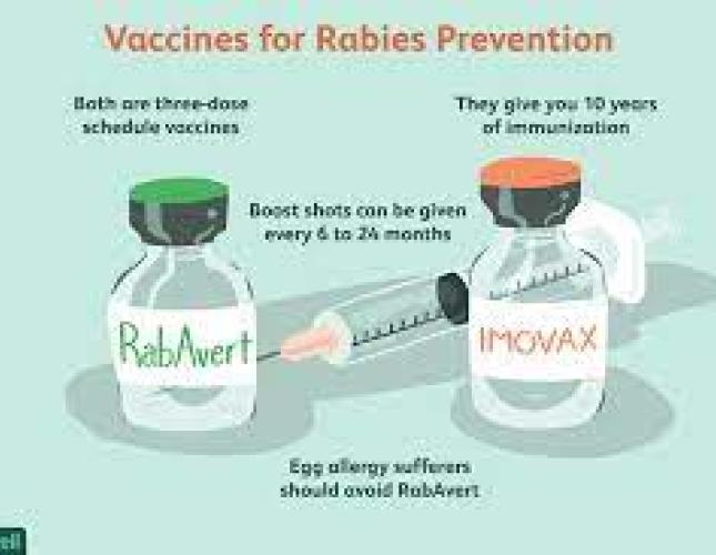 Rabies still a threat - Be Vigilant in Prevention