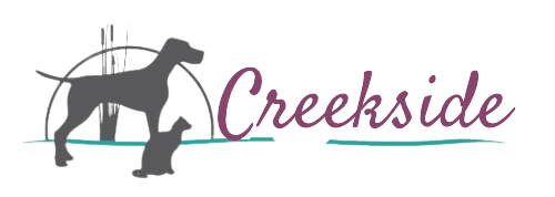 Creekside Animal Hospital