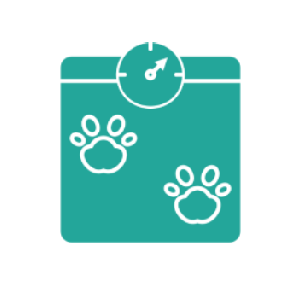 Clipboard with paw prints