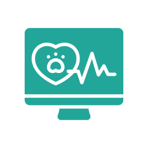 Heart monitor medical equipment