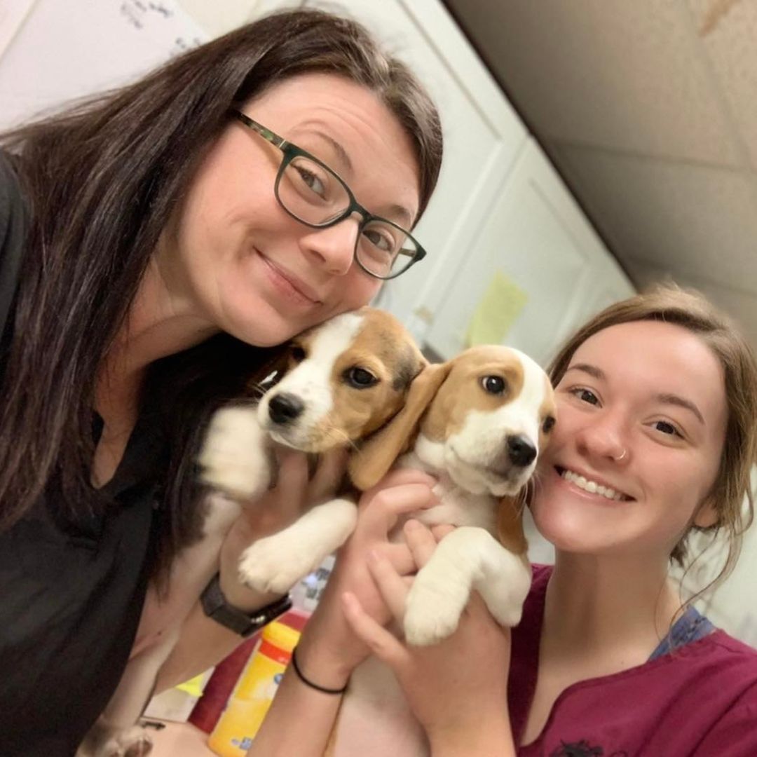 Smiling women hold beagle puppies