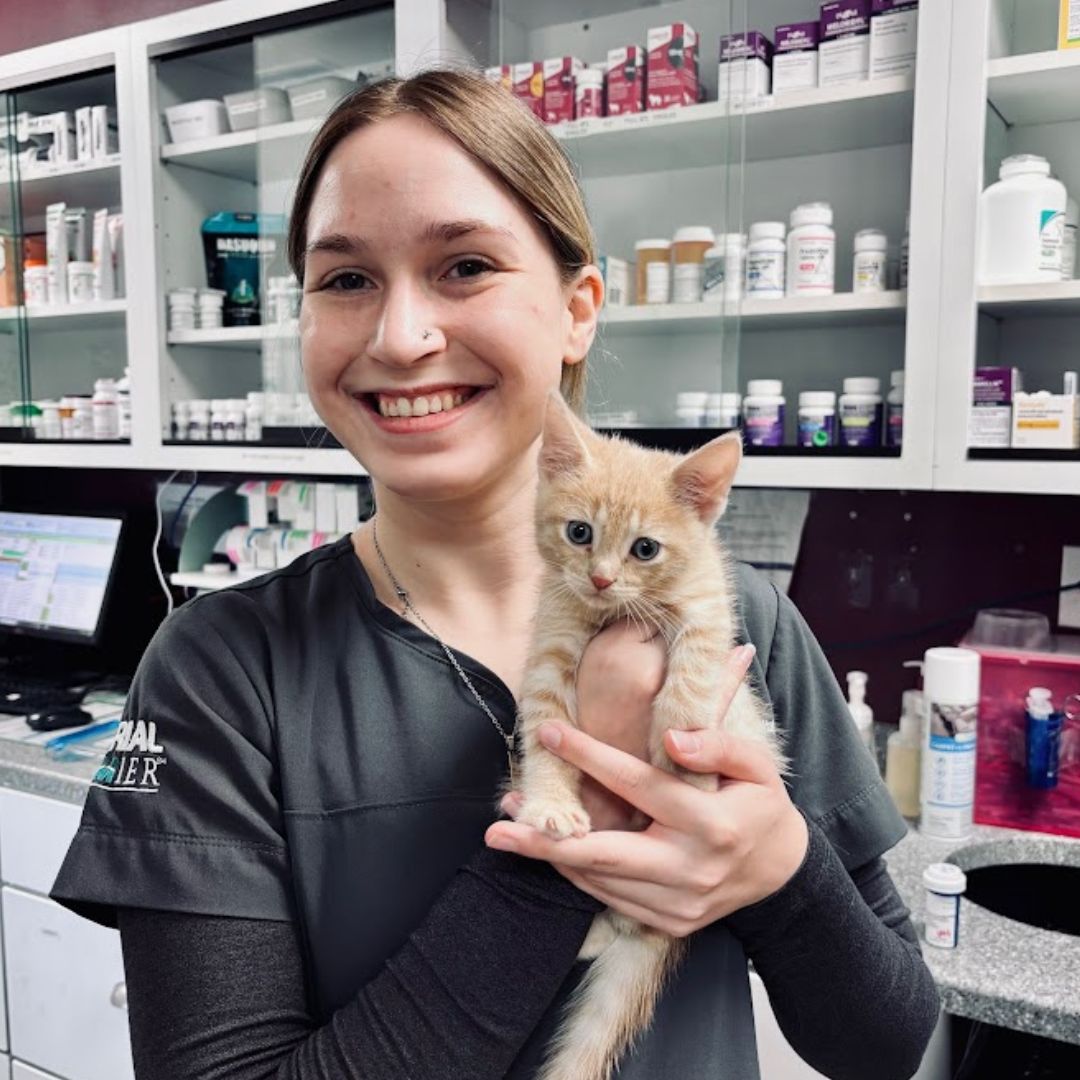 Vet tech holding kitten Vet tech holding kitten