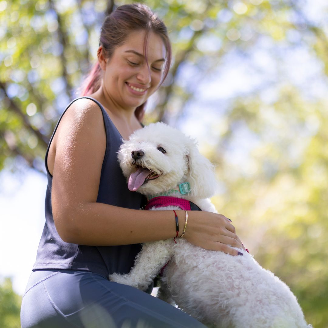 Woman happily holding white dog Woman happily holding white dog