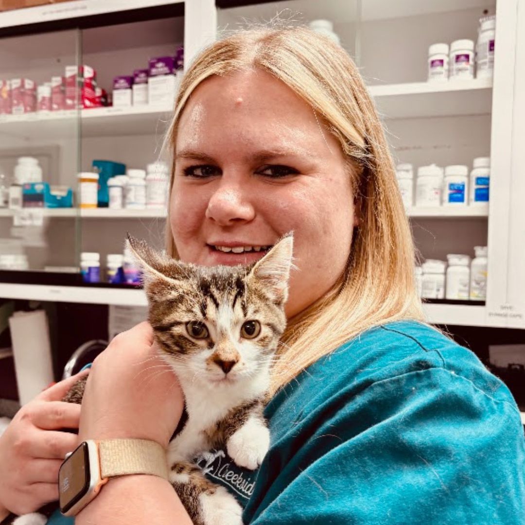 Woman holding tabby cat Woman holding tabby kitten