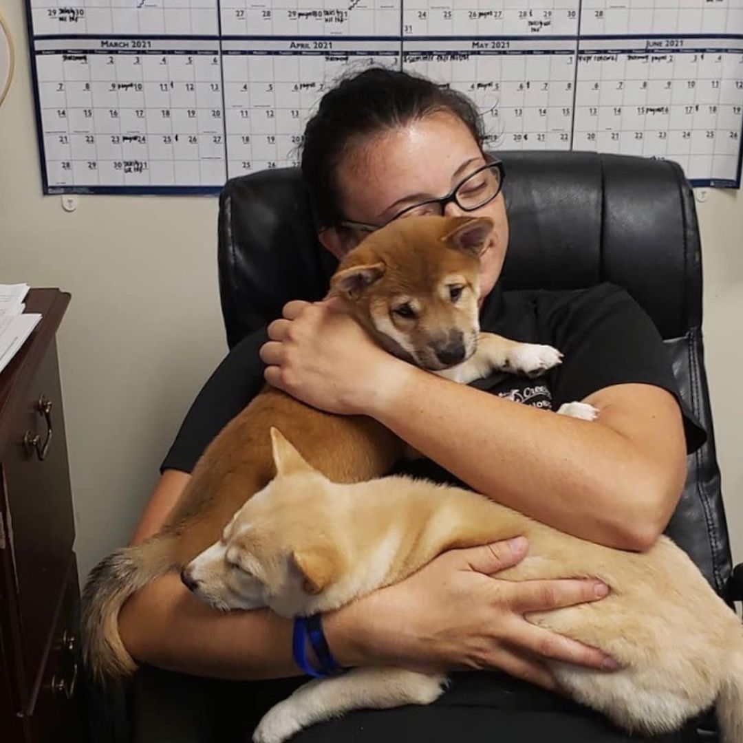 Woman holding two puppies Woman holding two puppies