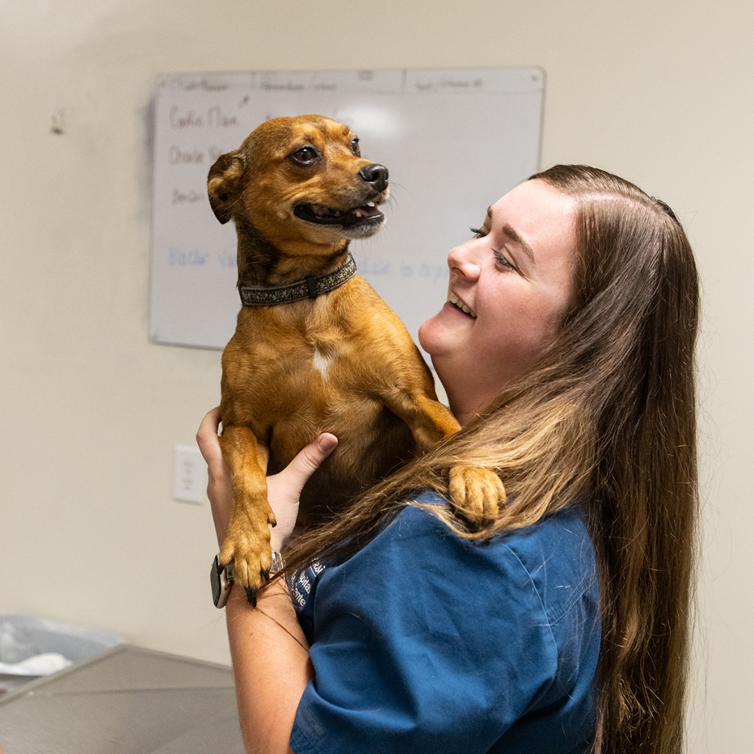 belle-and-shyla corner of modern building