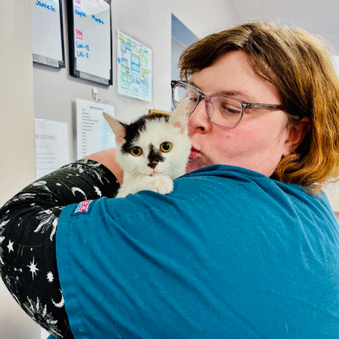 black-white-kitten-with-vet corner of modern building