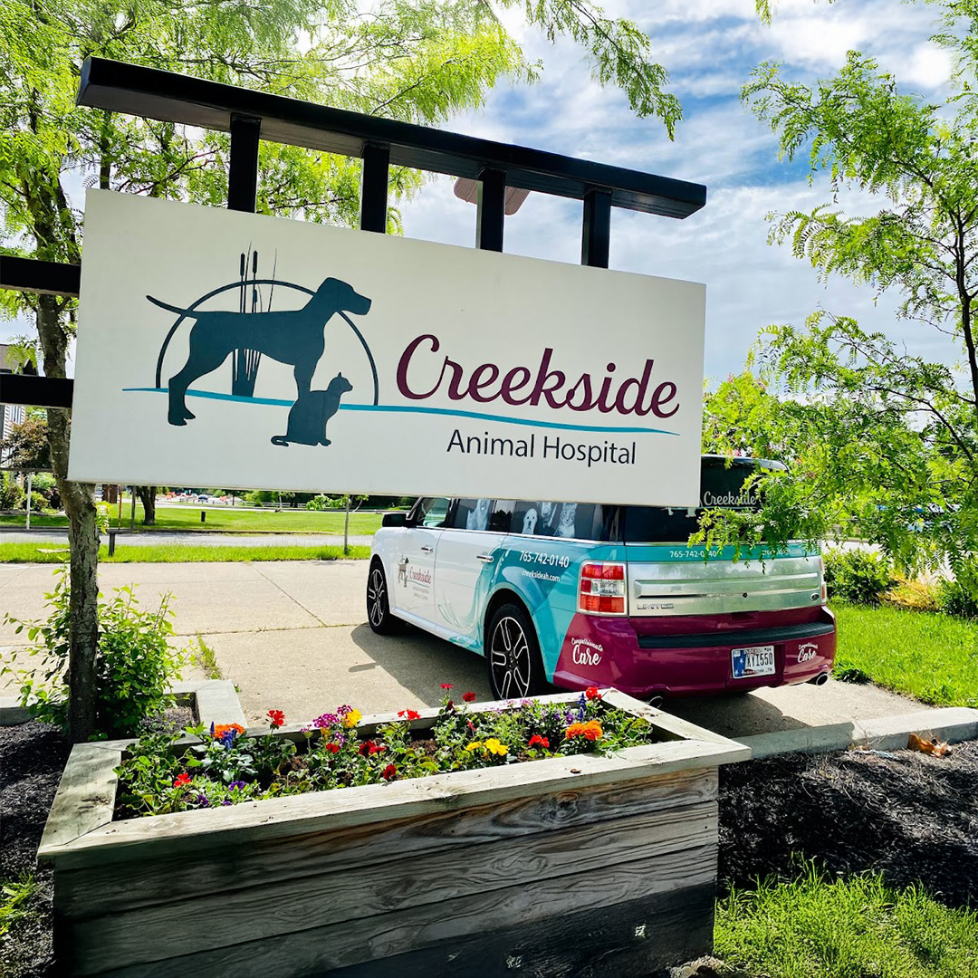 corner of modern building