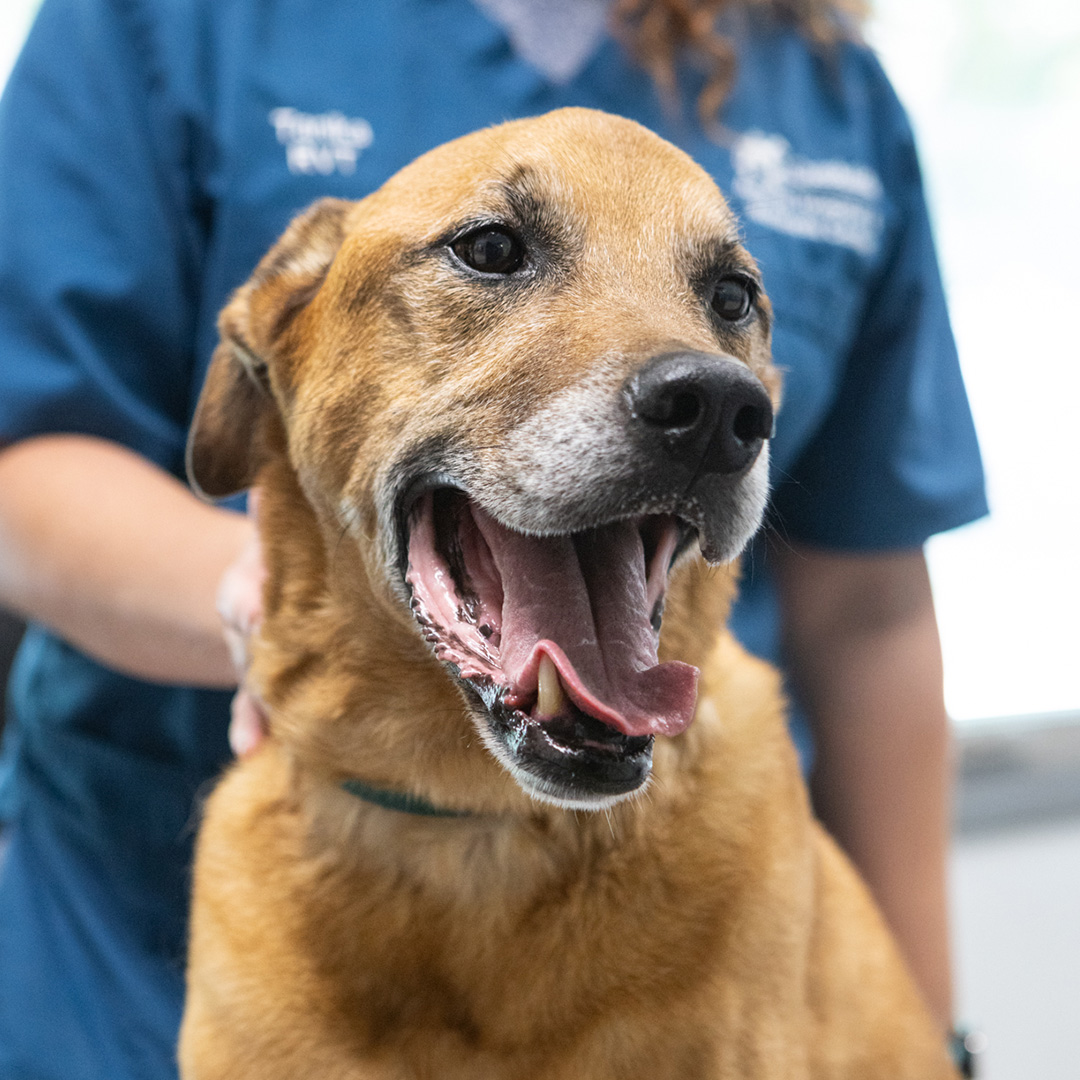 corner of modern building