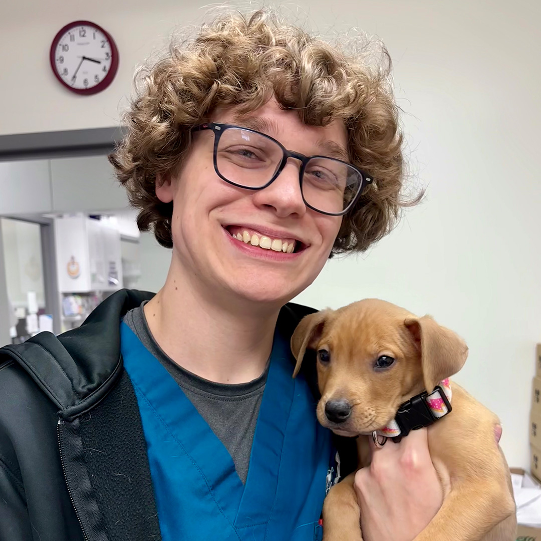 corner of modern building