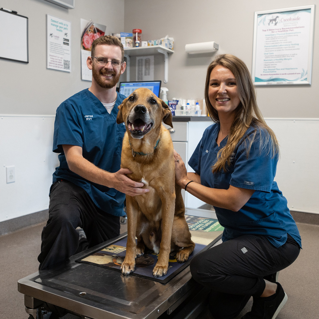 vets-posing-with-happy-dog corner of modern building