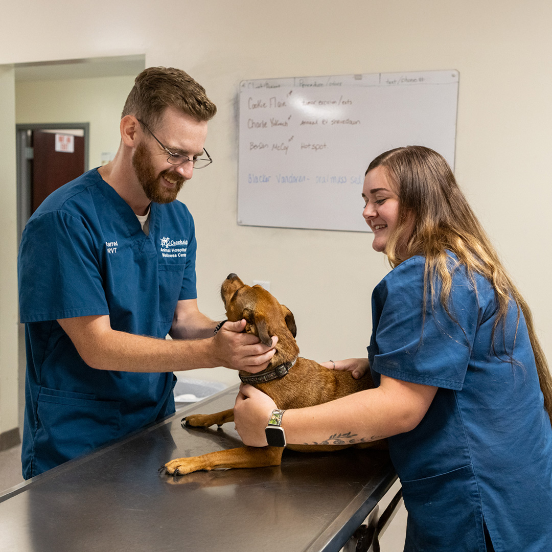 corner of modern building