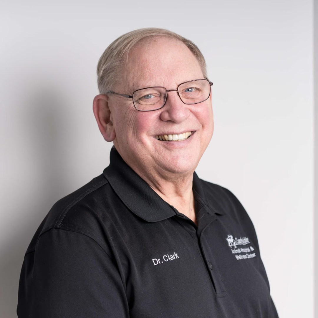 Todd Clark Todd Clark